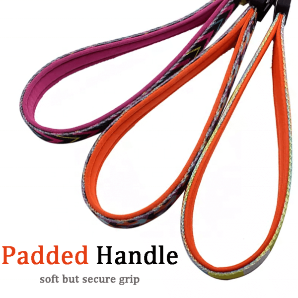 Wholesale Neoprene Padded Handle Nylon Custom Pet Dog Leash - Image 6